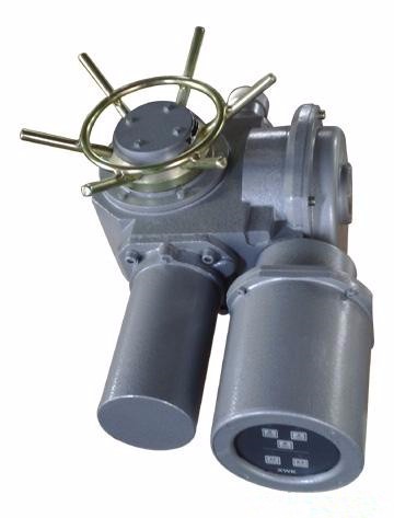 一體化閥門電裝DZW20-24-A00-WK