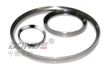 ZD-RG1010自密封石墨填料環
